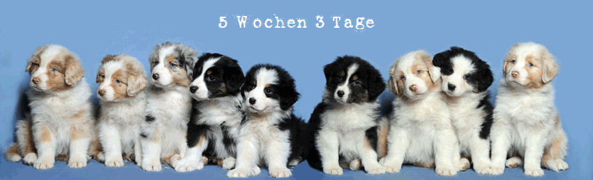 5 Wochen 3 Tage