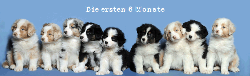 Die ersten 6 Monate